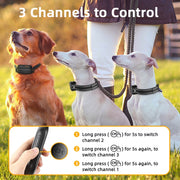 Remote Dog Training Shock Collar 1000m 1-2 Dogs PD521
