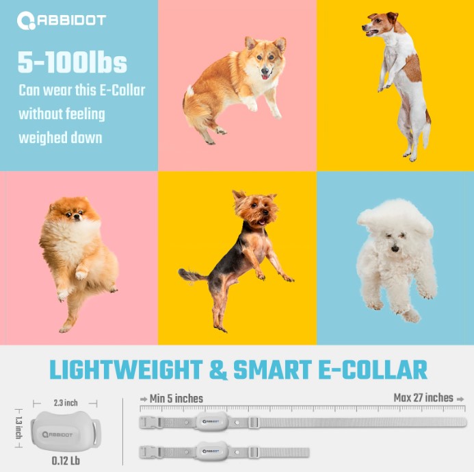Remote Dog Training Shock Collar 450m 1-2 Dogs Q20R